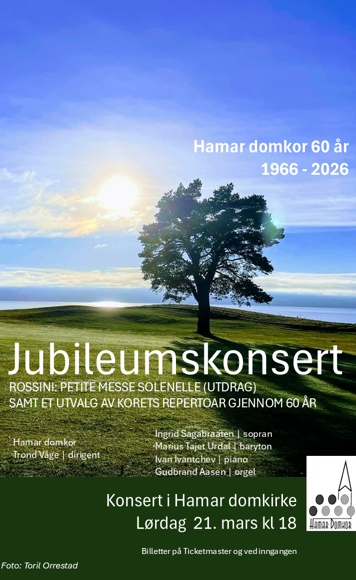 Foto: Toril Orrestad